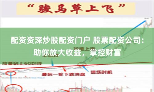 配资资深炒股配资门户 股票配资公司：助你放大收益，掌控财富